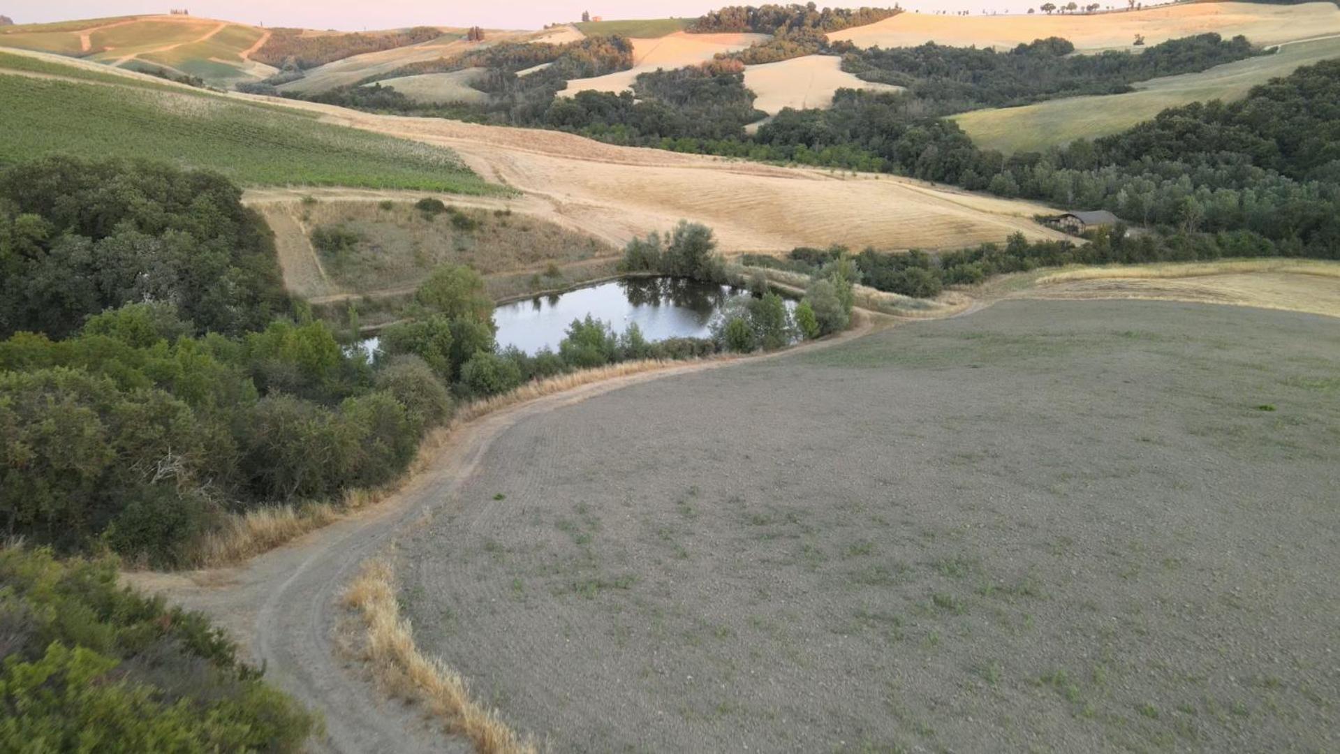 Agriturismo Il Torrione Lecchi Buitenkant foto